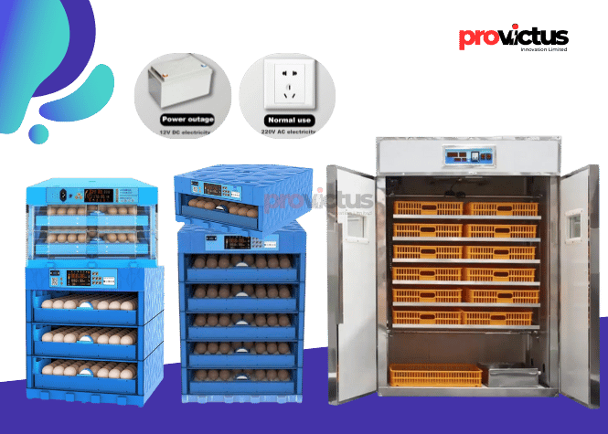 Provictus-Egg-incubator.png